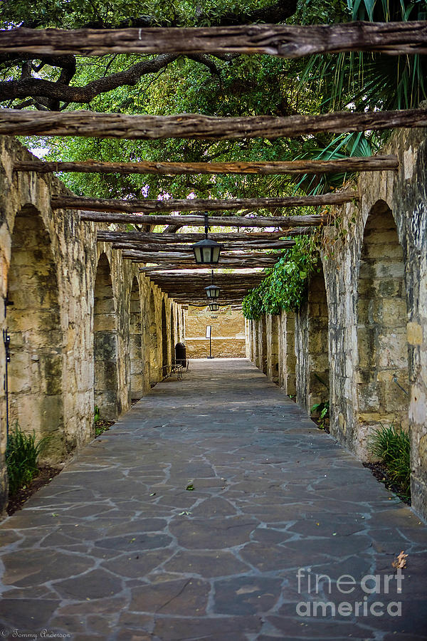 The Alamo Walk Photograph by Tommy Anderson | Fine Art America