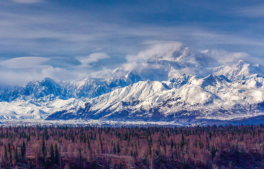 The Alaska Range at Mount McKinley Alaska Photograph by Michael W Rogers