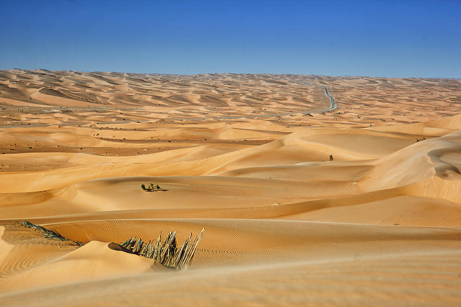 The Algerian Desert Pyrography by Mourad Benelhadj djelloul - Fine Art ...