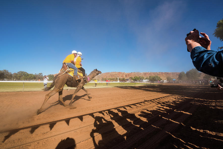 Alice Springs Camel Cup Photograph