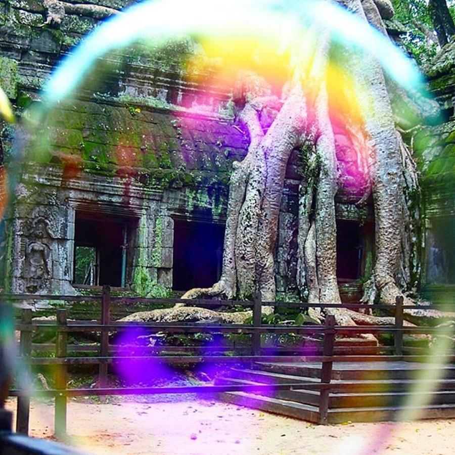 Angkorwat Photograph - The Amazing Tree At #angkorwat Used In by Dante Harker