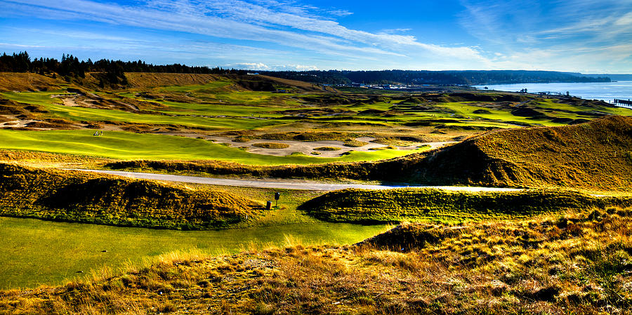 The Amazing Vista of Chambers Bay Golf Course Photograph by David Patterson