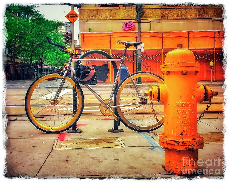 The American Darling Bicycle Photograph by Craig J Satterlee