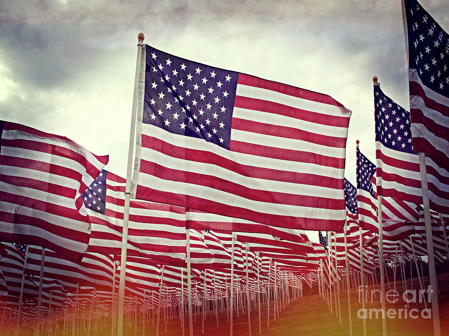 The American Flag Proudly Stands Photograph by Luther Fine Art
