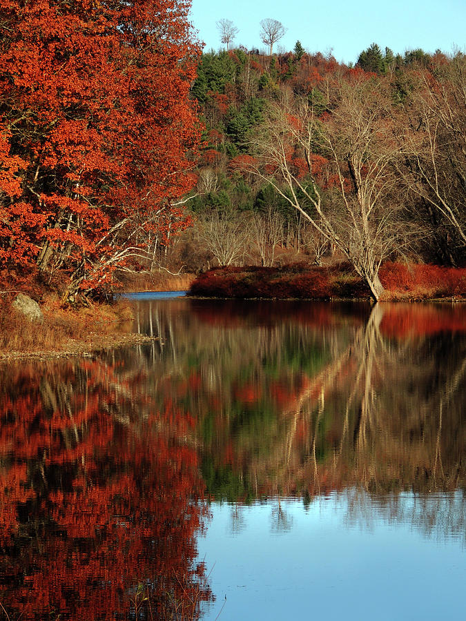 The Ammonoosuc in Autumn Photograph by Nancy Griswold