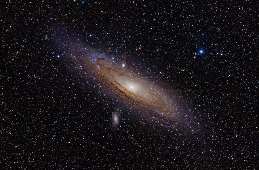 The Andromeda Galaxy Photograph by Eric Glaser