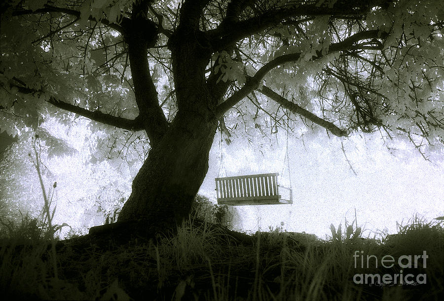 The Angel Swing Photograph by Craig J Satterlee