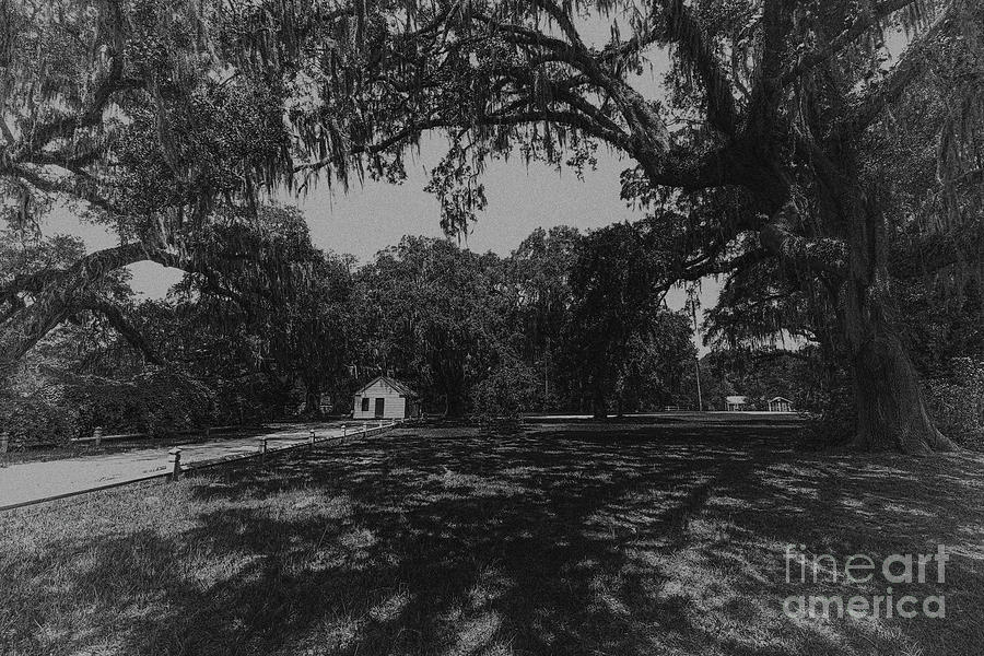 The Antebellum South Photograph