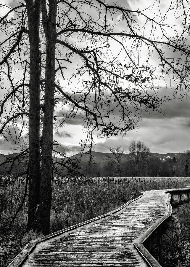 The Appalachian trail Photograph by Eduard Moldoveanu