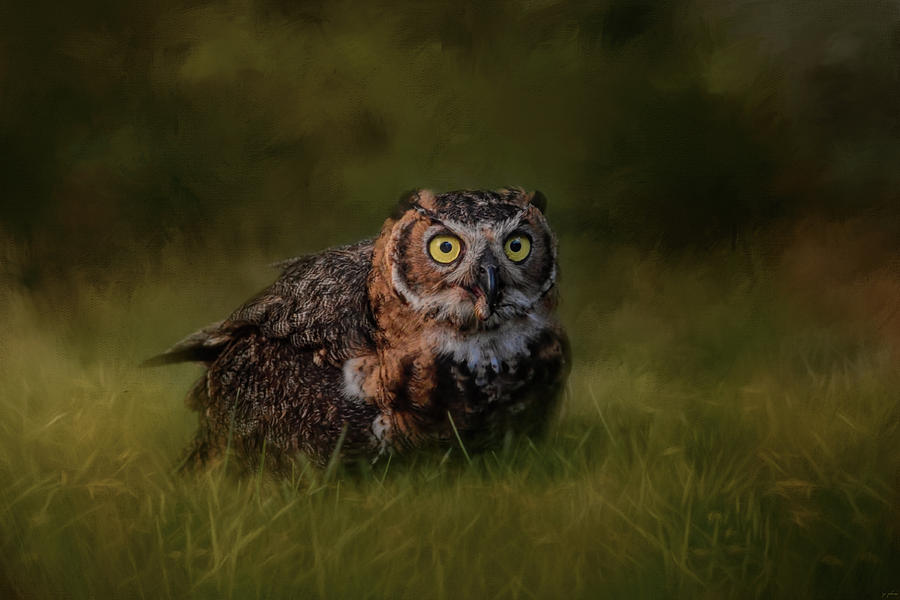 The Appetizer Great Horned Owl Art Photograph by Jai Johnson