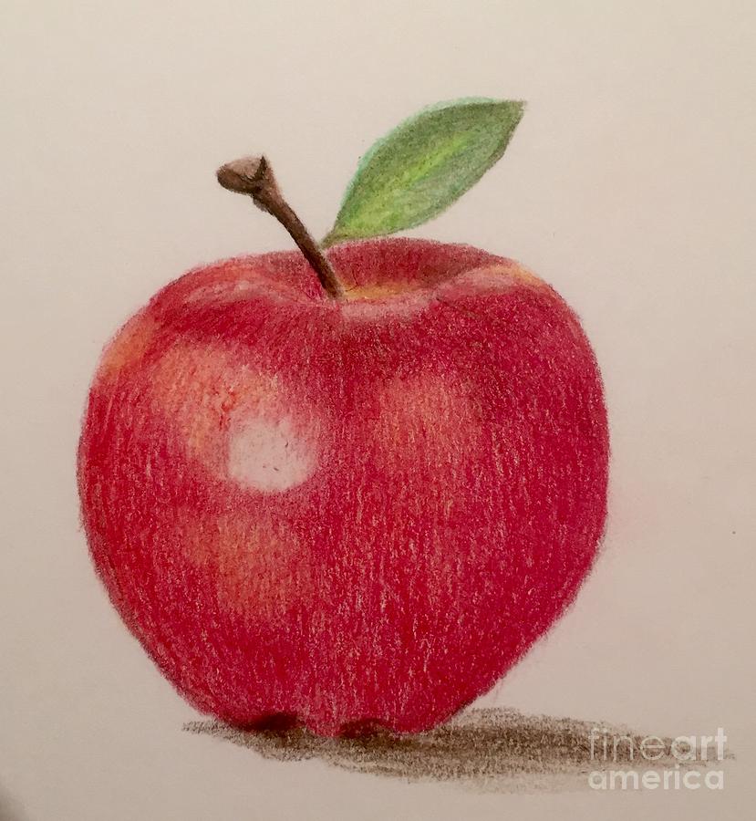 The Apple Drawing by Eva Ason