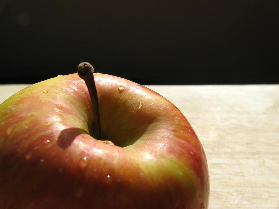Food And Beverage Photograph - The apple stem by Kim Pascu