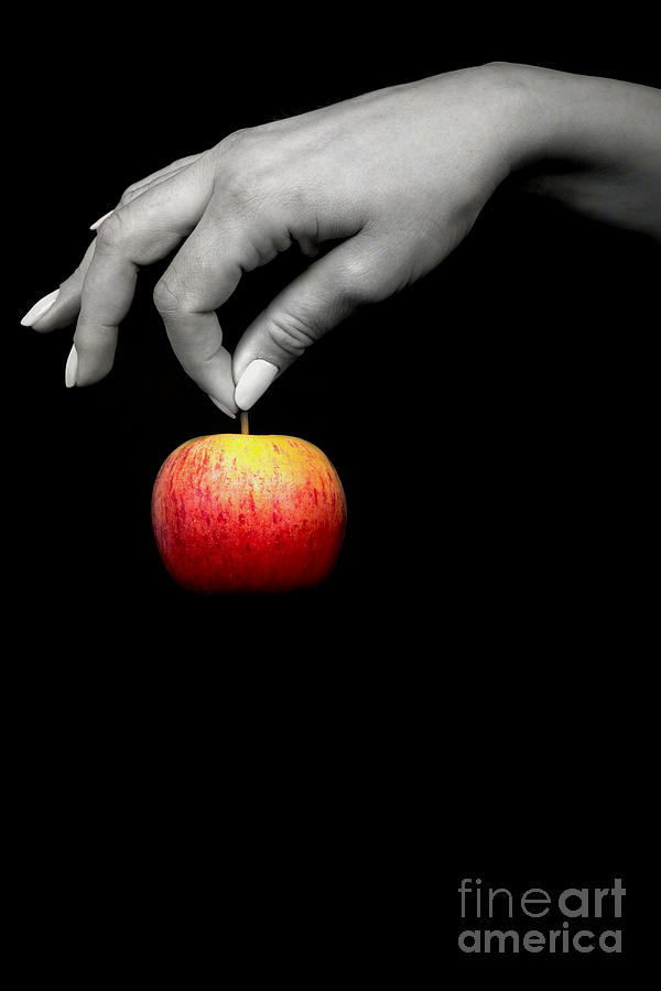 Apple Photograph - The Apple by Svetlana Sewell