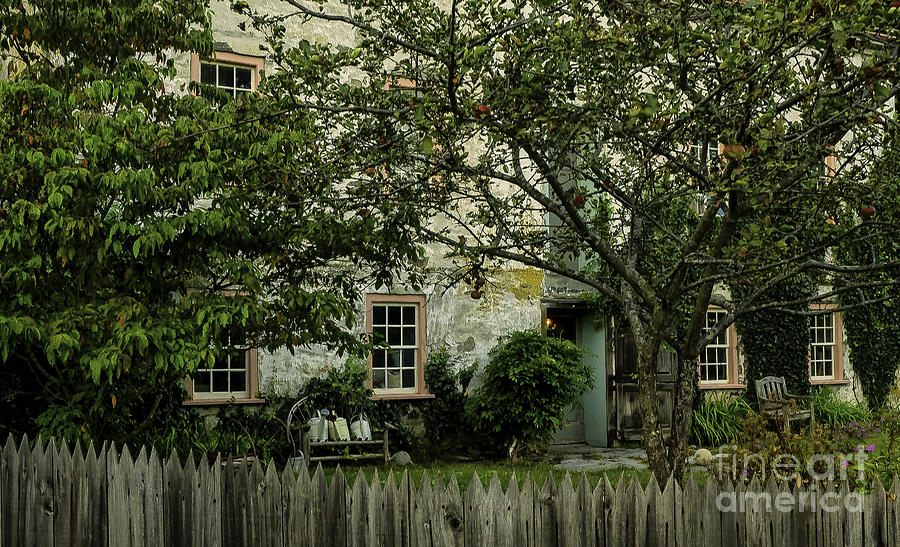 The Apple Tree In The Front Yard Photograph by Gemblue Photography