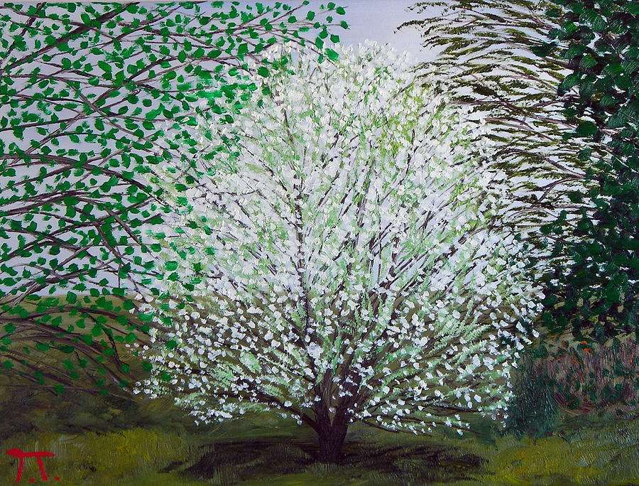 The Apple Tree In White Painting by Troy Thomas