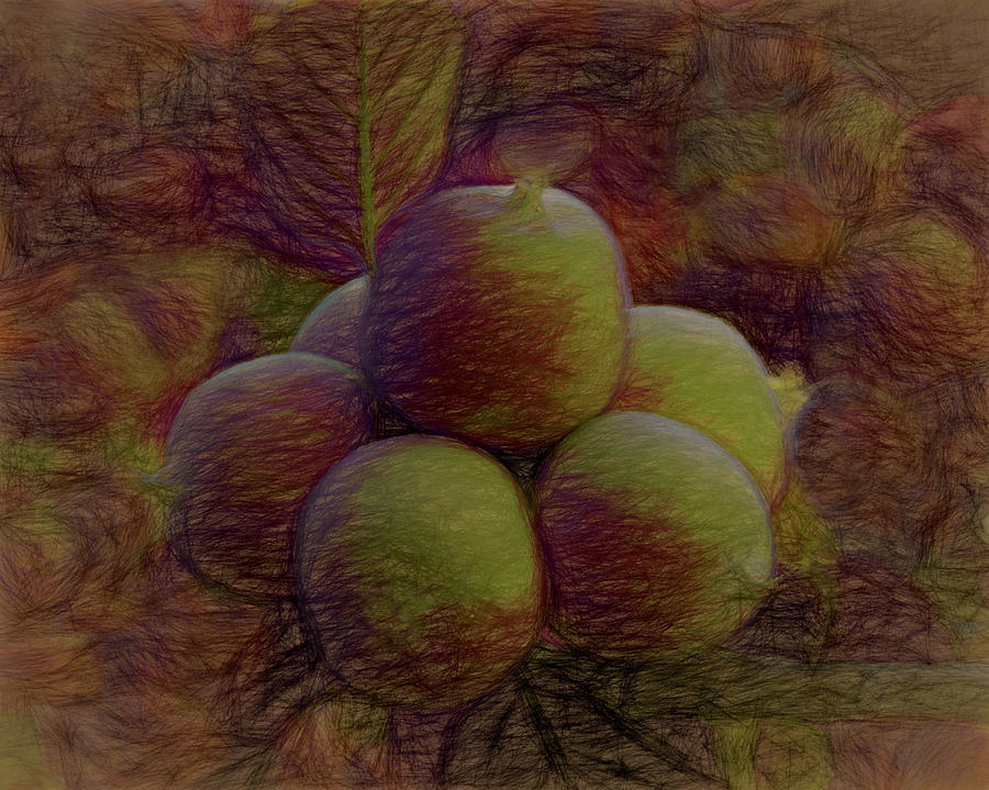 The Apples 2 Digital Art by Ernest Echols