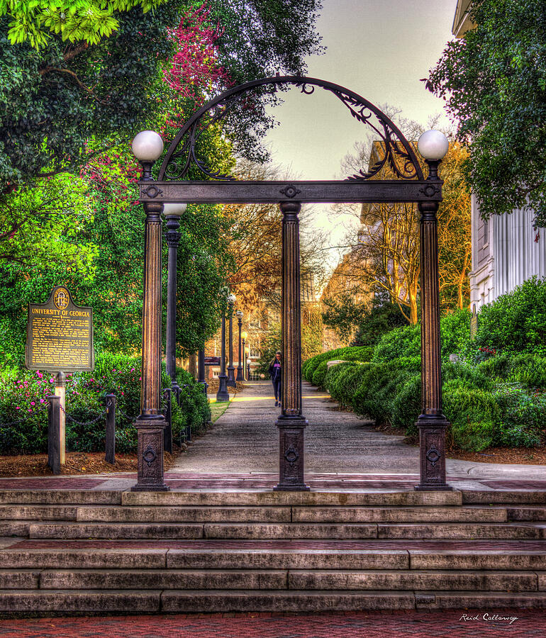 The Arch University Of Georgia Arch Art Photograph by Reid Callaway