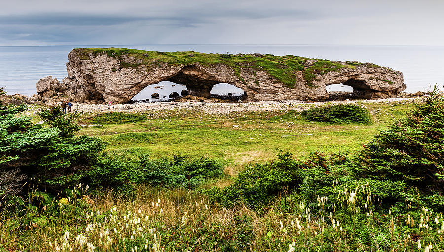 Nature Photograph - The Arches Provincial Park, Newfoundland by Mike Organ