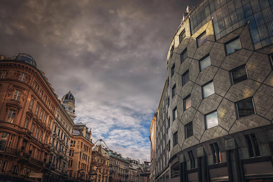 The Architecture of Vienna  Photograph by Carol Japp