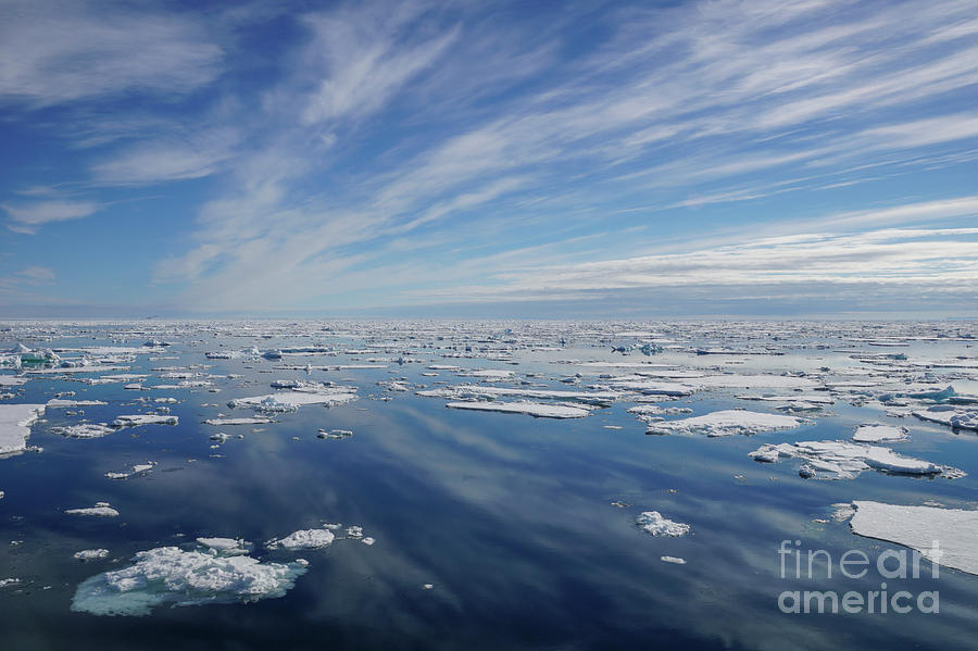 The Arctic Photograph by Brian Kamprath