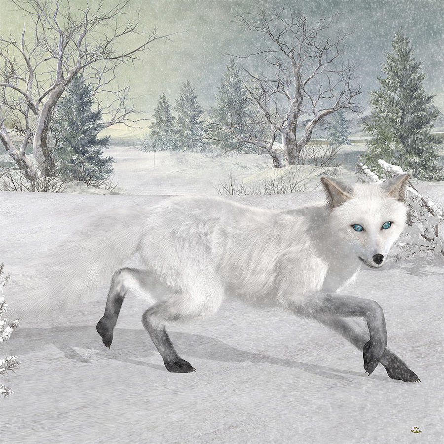 the arctic fox digital art by denice thomson the arctic fox by denice thomson