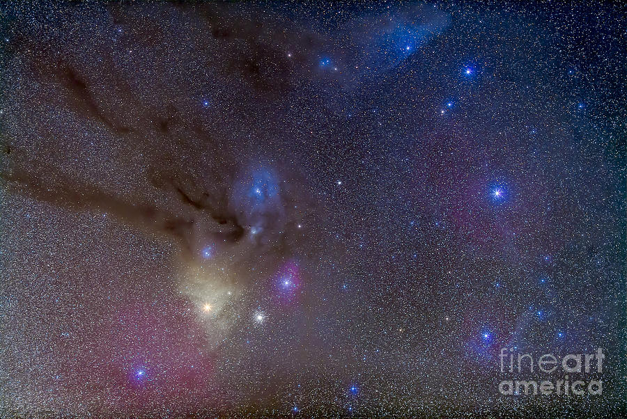 The Area Around The Head Of Scorpius Photograph by Alan Dyer