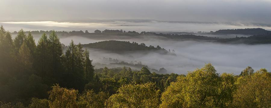 The Argyll Forest shrowded in mist Photograph by Stephen Taylor