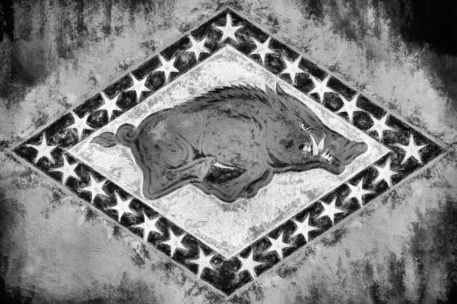 University Of Arkansas Digital Art - The Arkansas Razorbacks Black and White by JC Findley