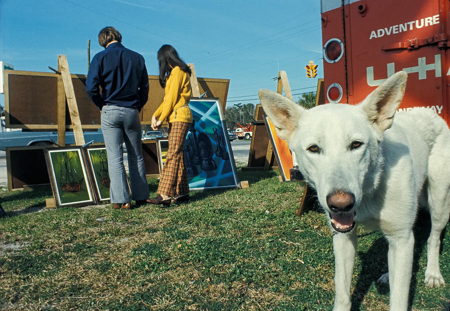 Dog Photograph - The Art Critic by Warren Sarle