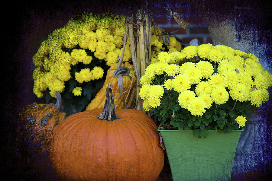 the Art of Autumn Photograph by Milena Ilieva