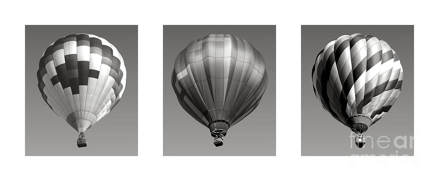 Transportation Photograph - The Art of Ballooning One by Olivier Le Queinec