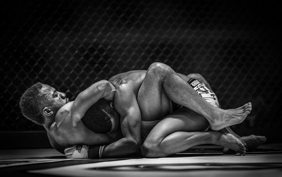 The Art Of The Fight Photograph by Ray Congrove