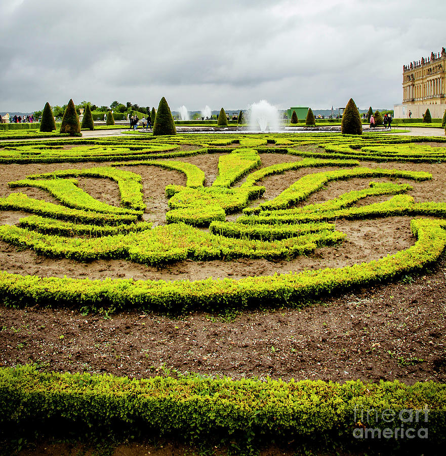 The Art of the Garden, Versailles Photograph by Marina McLain