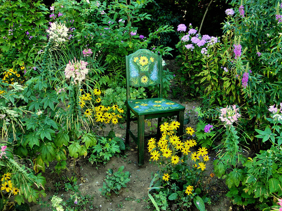 The Artists Garden Photograph by Natalie Holland