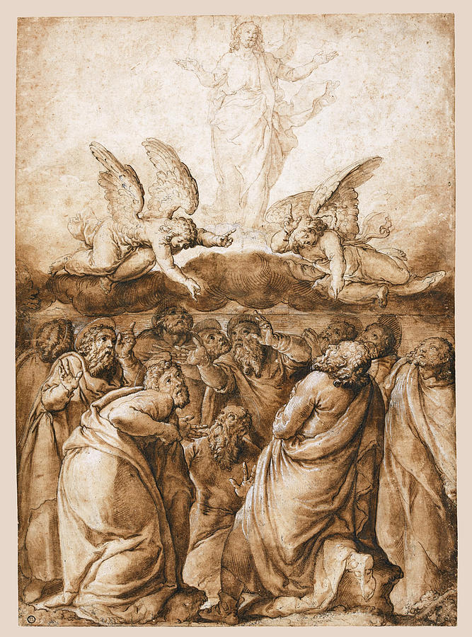 The Ascension of Christ Drawing by Attributed to Pablo de Cespedes