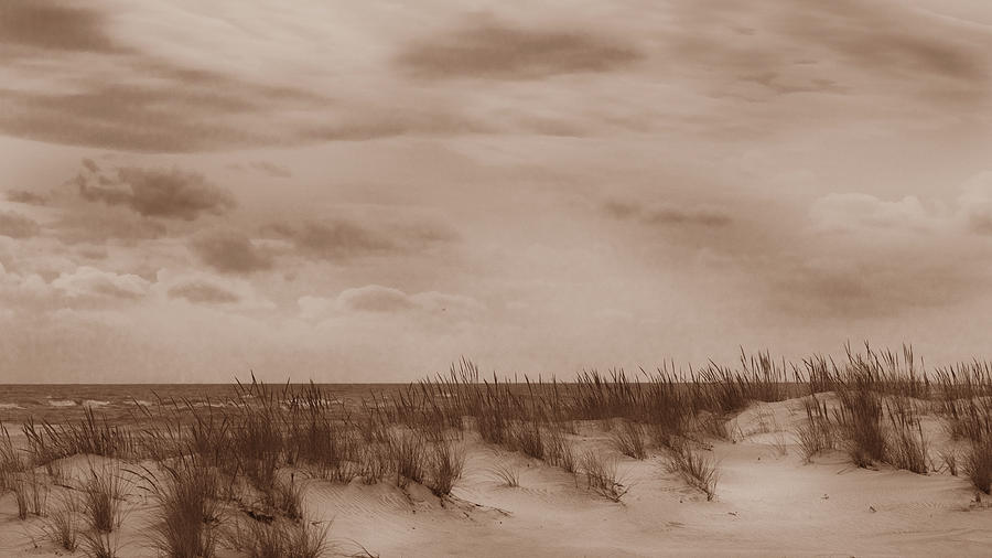 The Atlantic through the dunes Photograph by Steve Gravano
