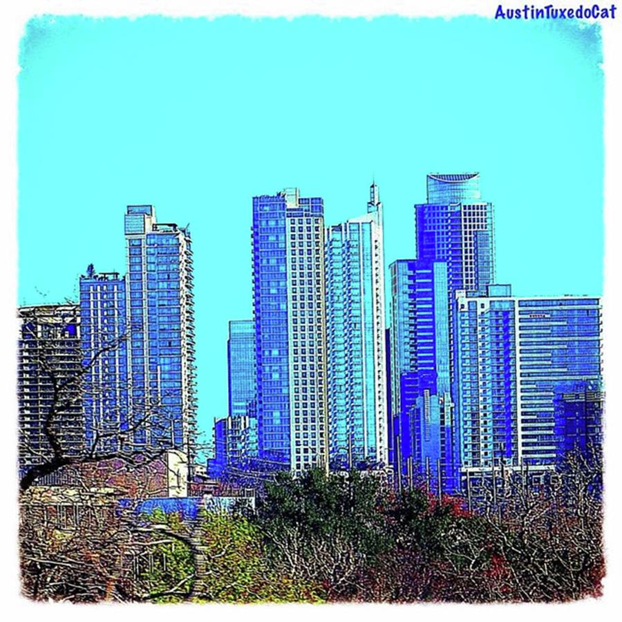 Architecture Photograph - The #austin #skyline On A Sunny, Cold by Austin Tuxedo Cat