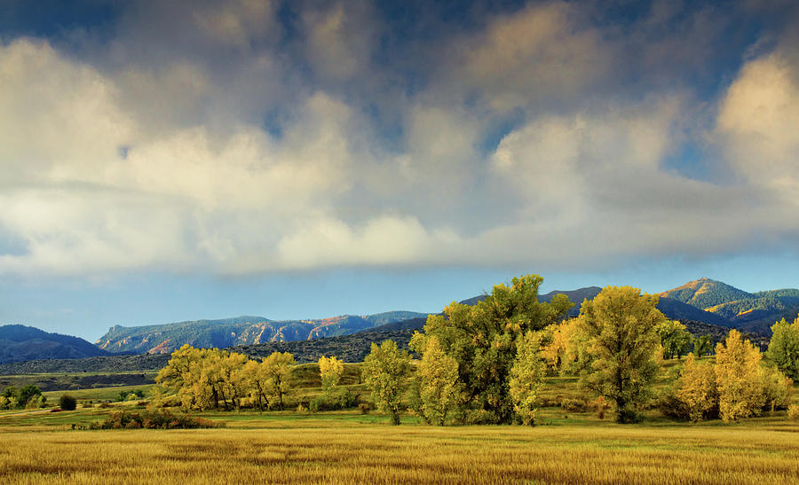 The Autumn Cottonwood Landscape Photograph by John De Bord The Autumn Cottonwood Landscape Photograph by John De Bord