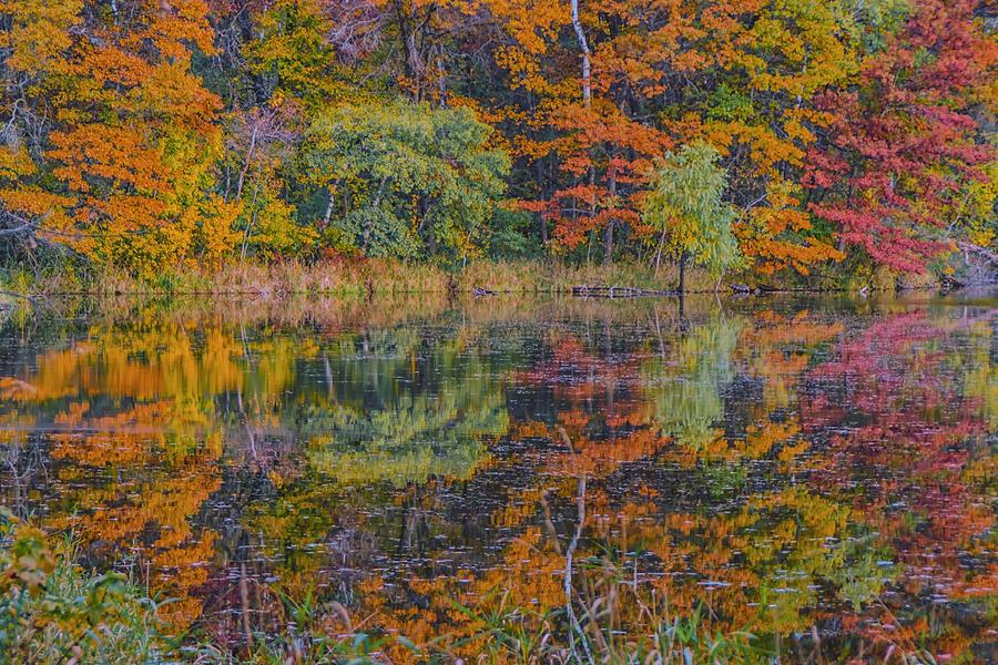 The Autumn Factor Photograph by Doug Wallick