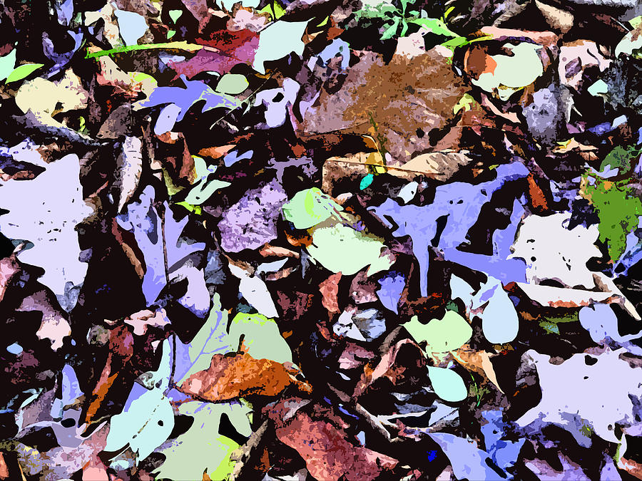 The Autumn Mosaic Photograph by Mindy Newman