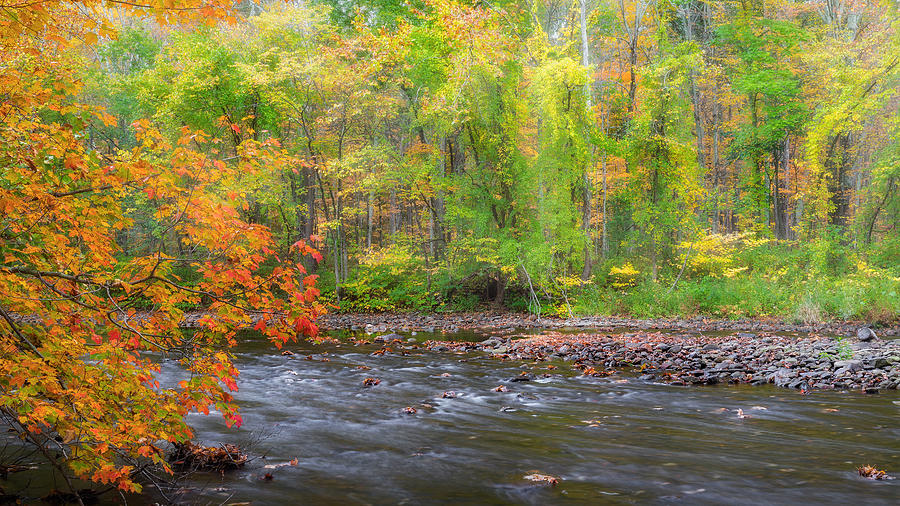 Tree Photograph - The Autumn River by Bill Wakeley