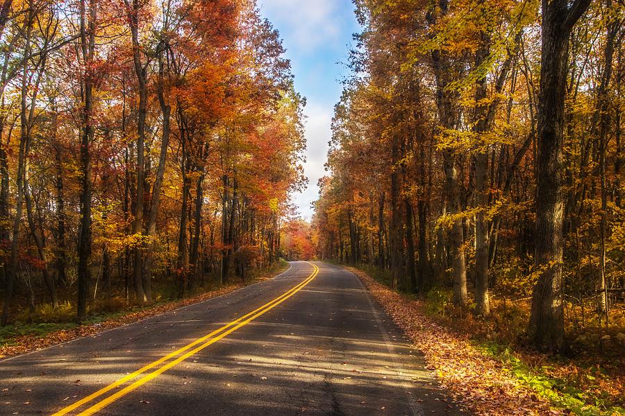 The Autumn Road Photograph by Lisa Hurylovich