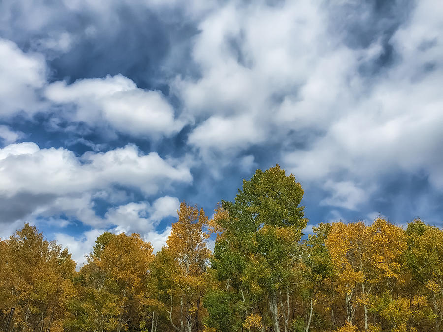 The Autumn Sky 2 Photograph by Jonathan Nguyen