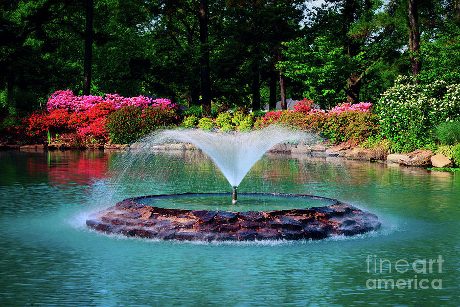 The Azalea Pond at Honor Heights Park Photograph by Tamyra Ayles