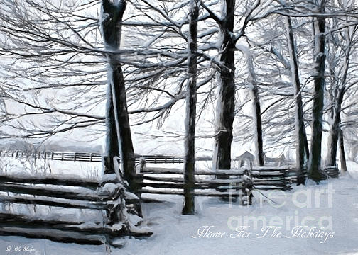 Winter Photograph - The Back Laneway by Barbara McMahon