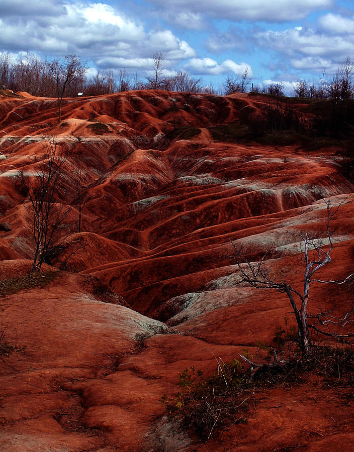Landscape Photograph - The Badlands by Cabral Stock