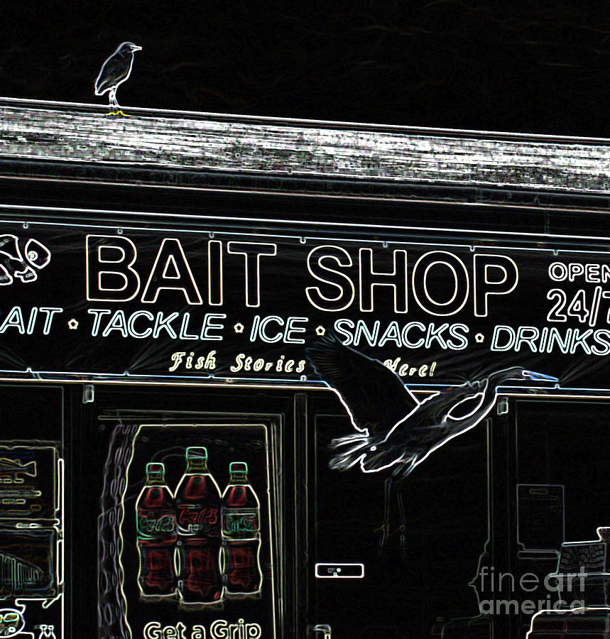 The Bait Shop Photograph by Donna Brown
