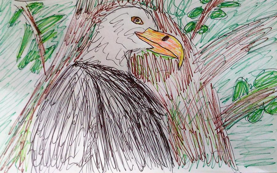 The Bald Eagle Drawing by Andrew Blitman