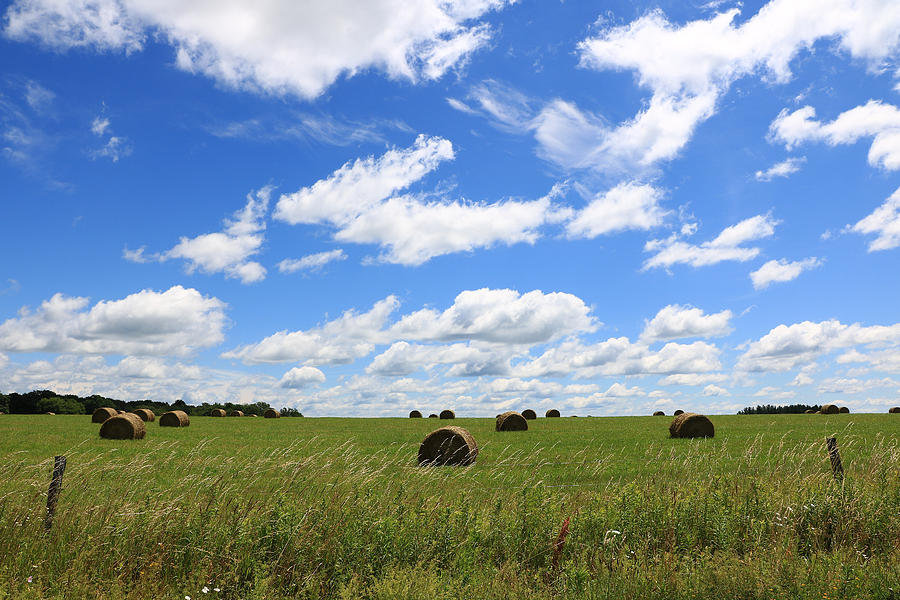 The Bales of Summer 3 by Rick Morgan The Bales of Summer 3 by Rick Morgan