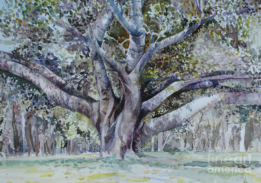 The Banyan Tree at Balboa Park Painting by P Anthony Visco
